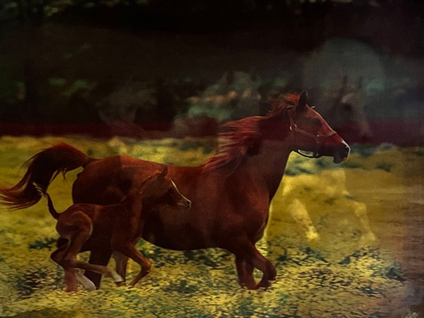 Naked 3D Poster - Galloping Horse