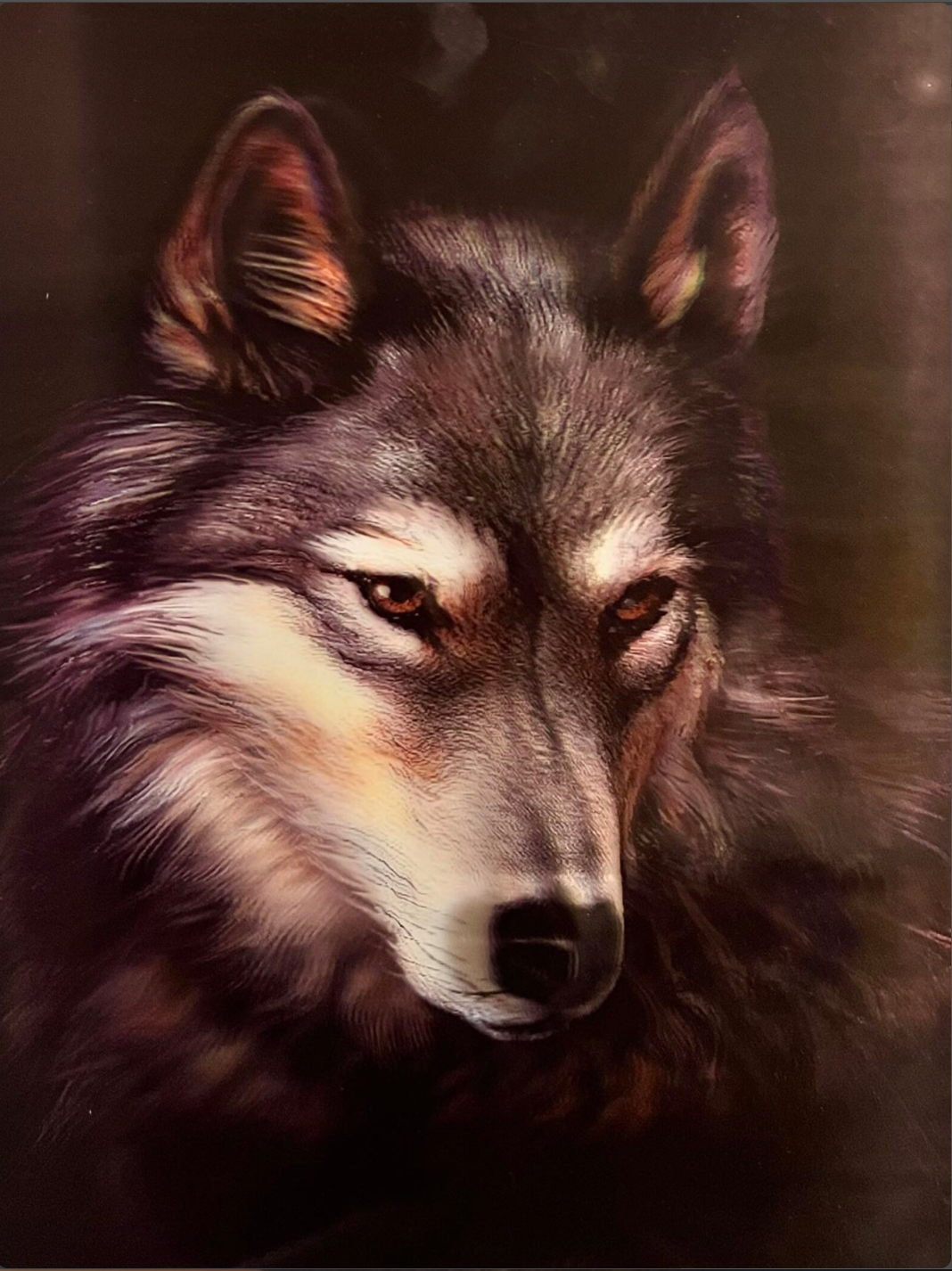 Naked 3D Poster - Wolf