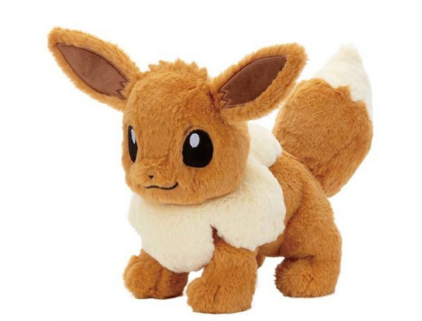 Eevee Medium Pokemon Center Kuta Kuta Tatta Plush