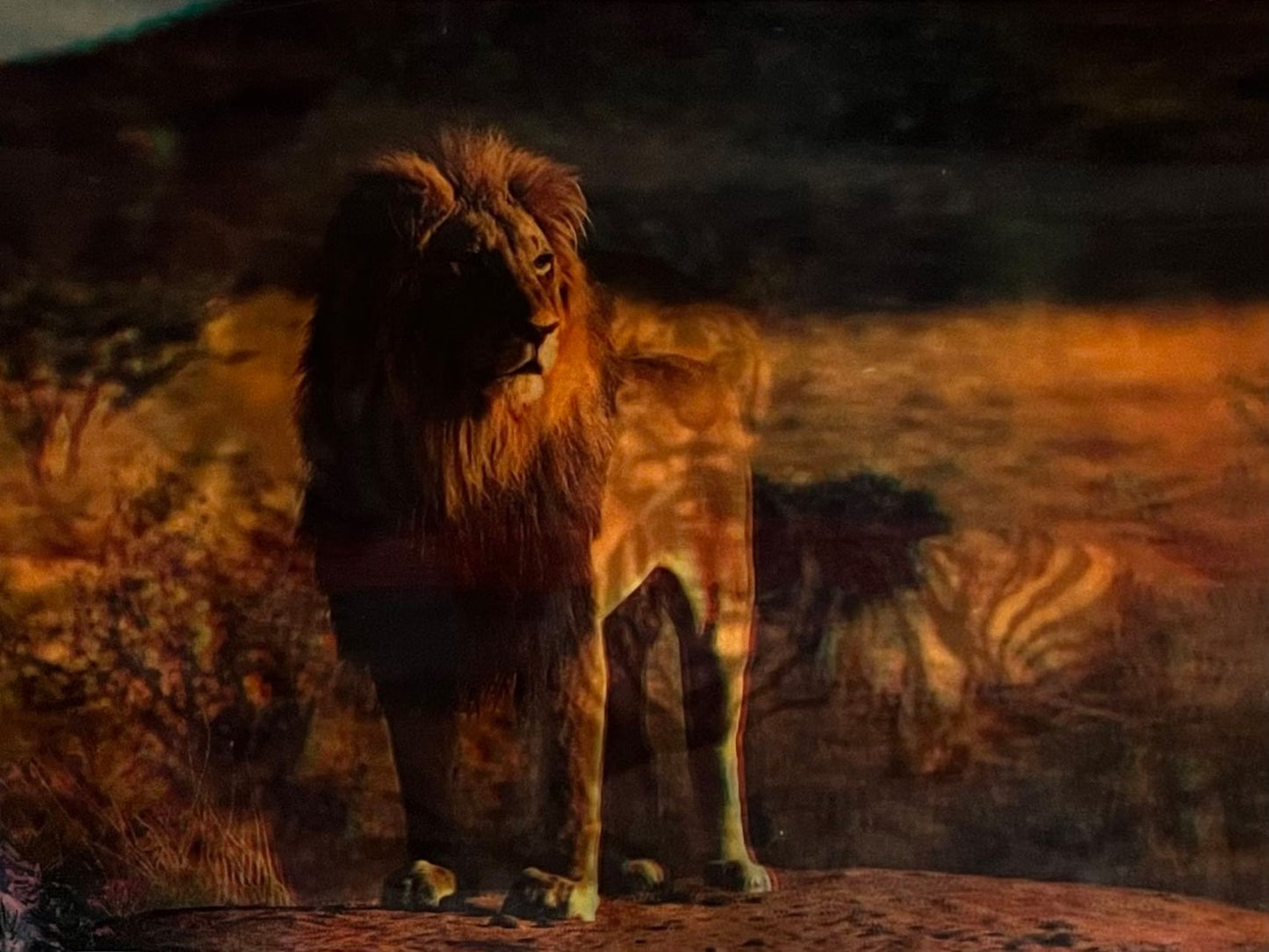 Naked 3D Poster - Tiger and Lion
