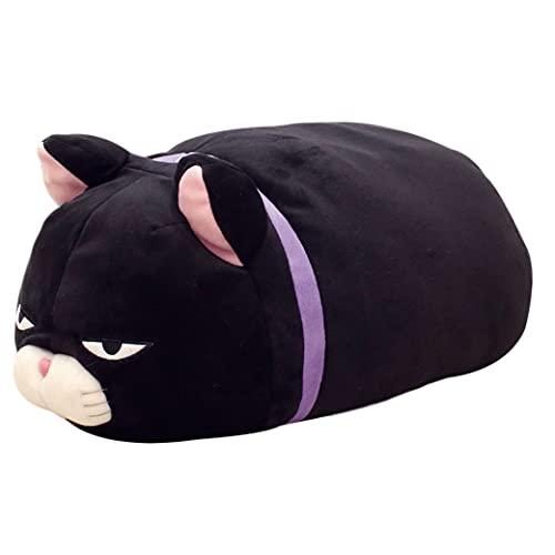Kuromame cat 2025
