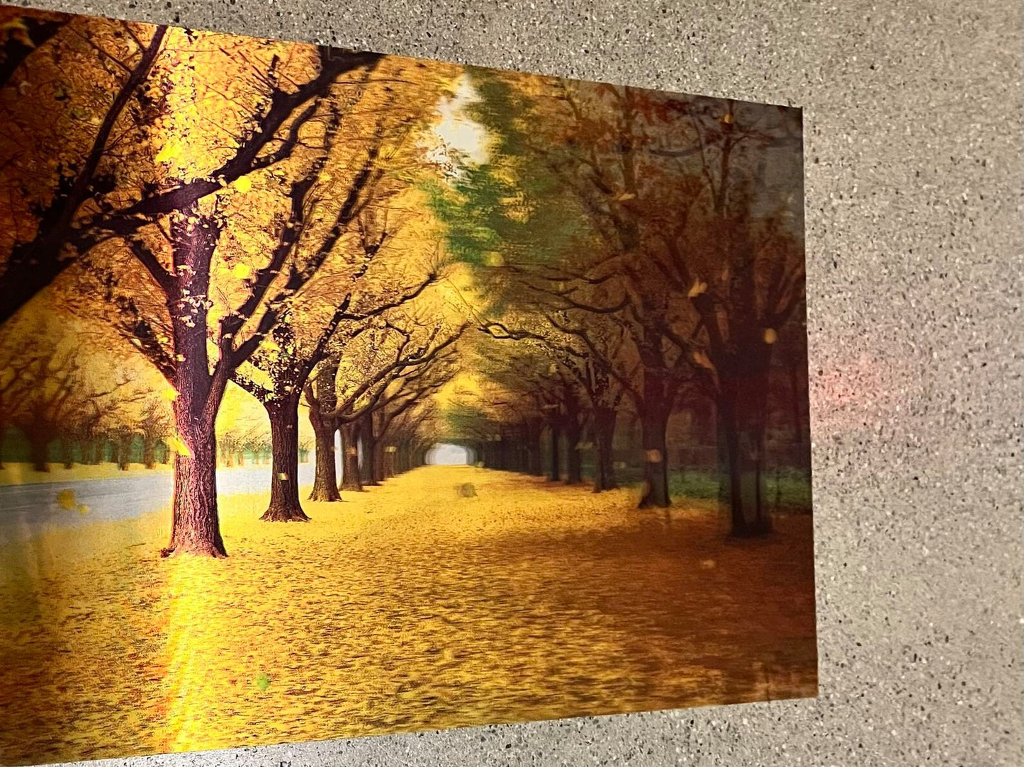 Naked 3D Poster - Fall Season