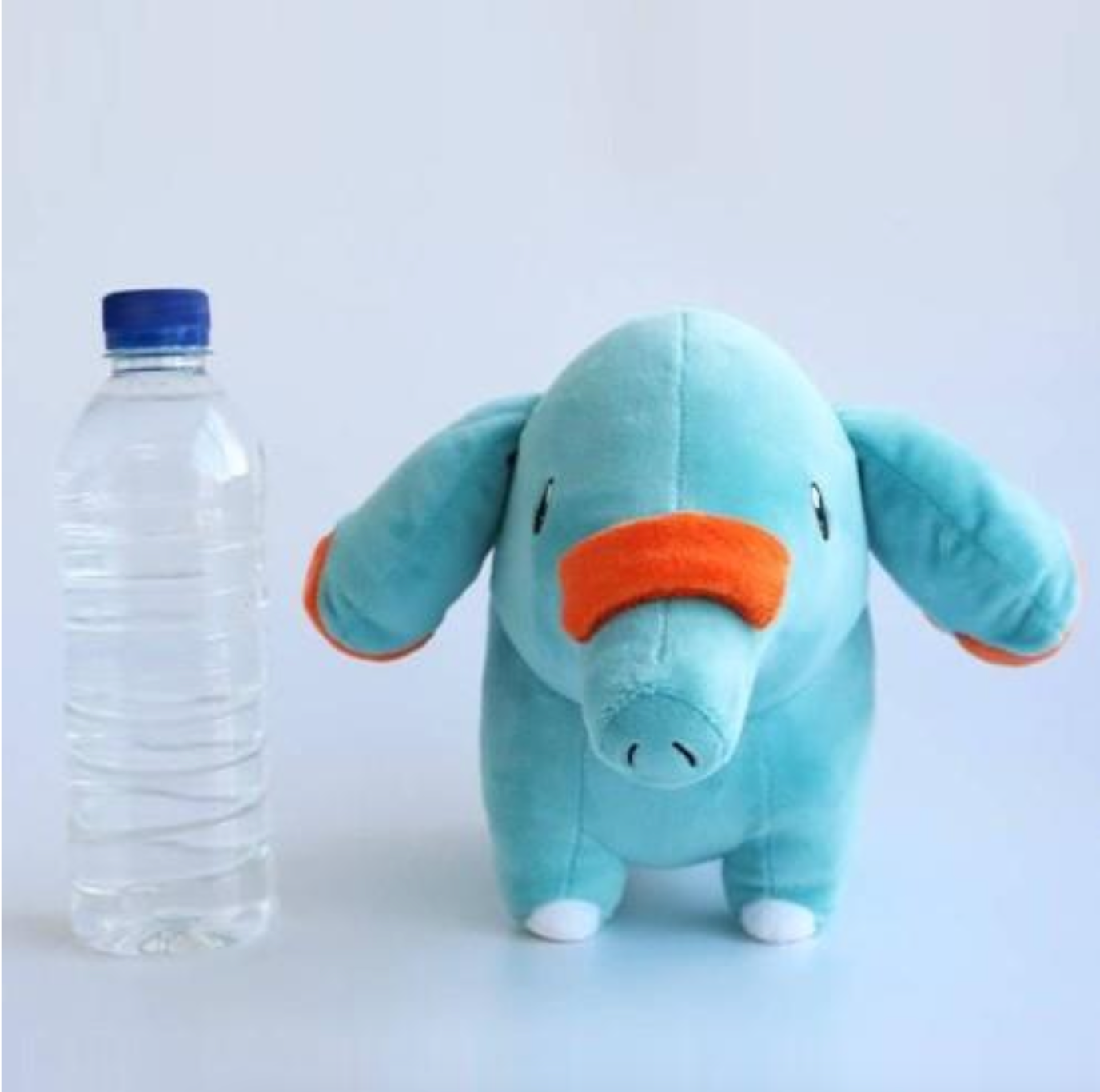 Pokemon - Phanpy