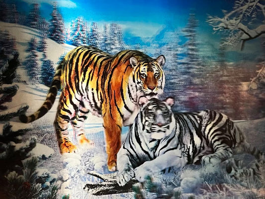 Naked 3D Poster - Tiger and Lion