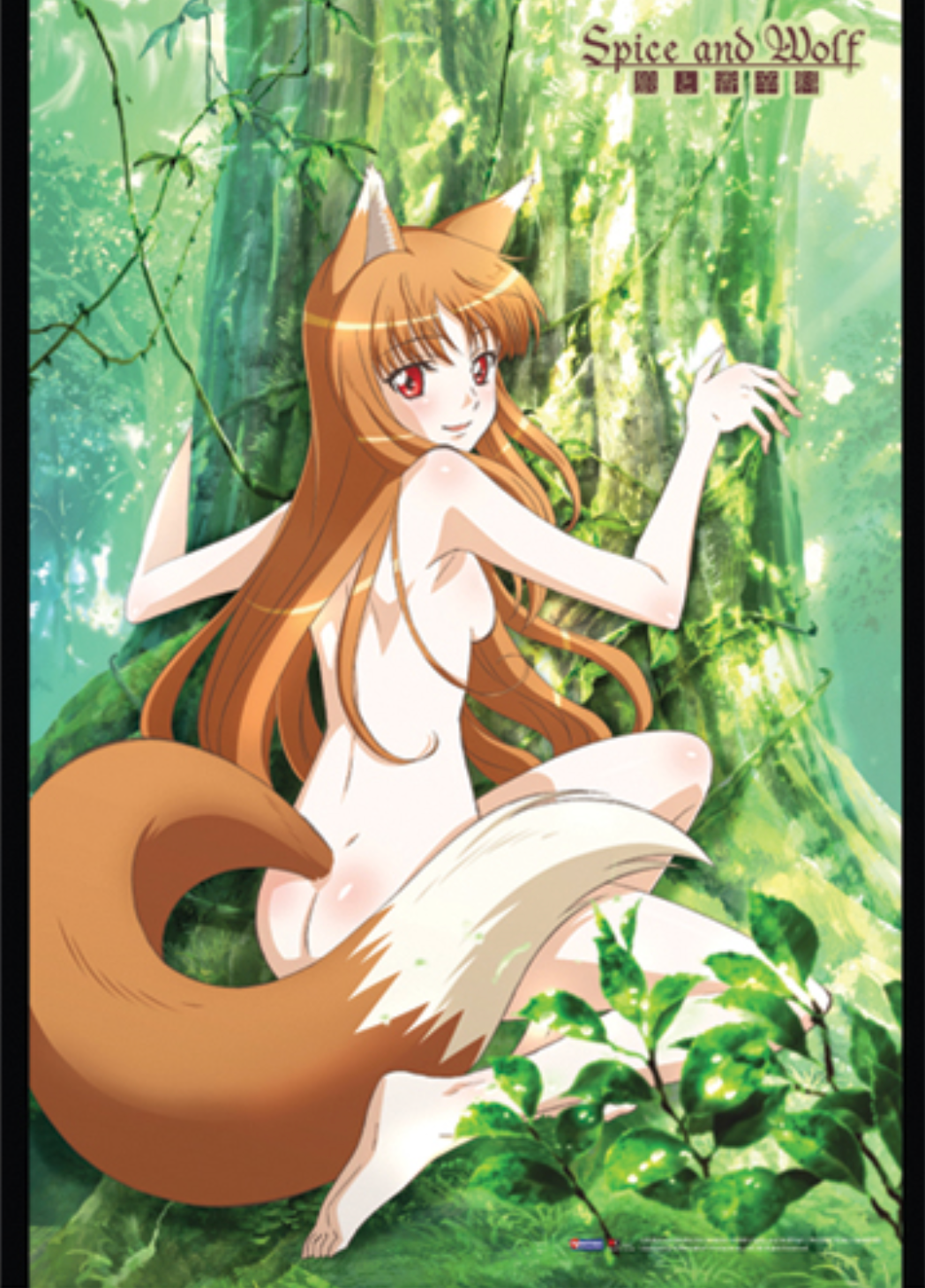Wall Scroll - Spice and Wolf