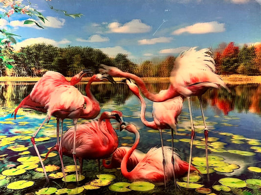 Naked 3D Poster - Flamingo