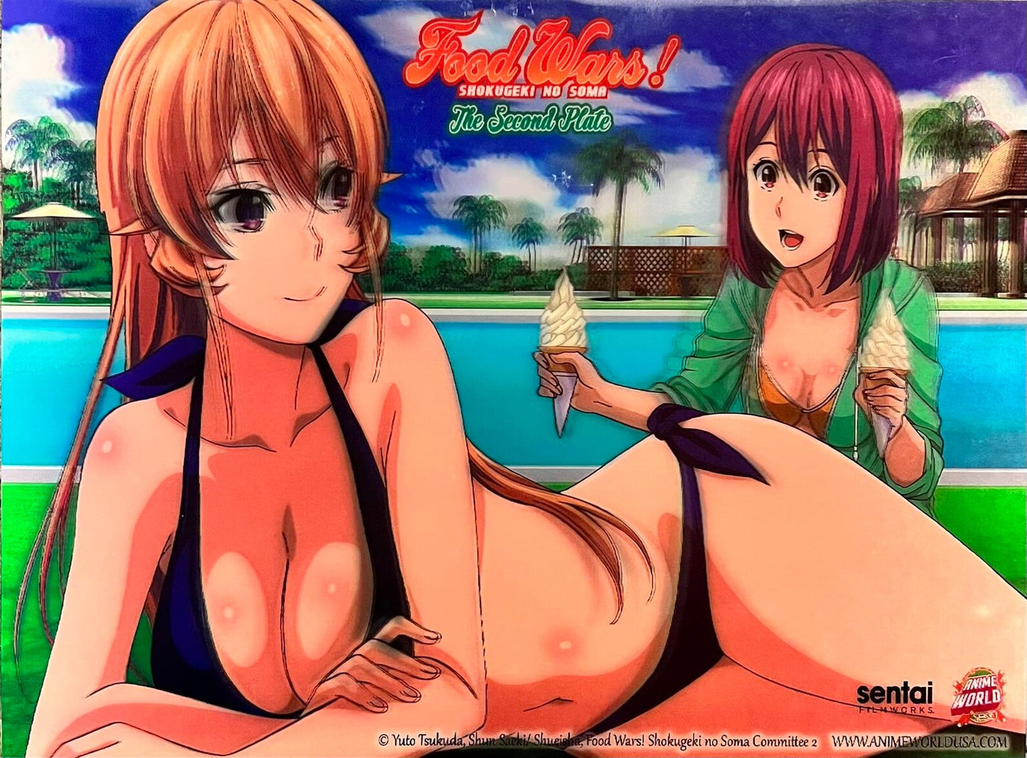 Naked 3D Poster - Food Wars