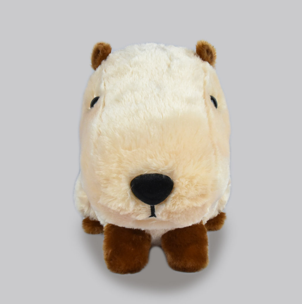 Amuse Huge Nohohon Kapibara Bedding Headrest Plush Hugging Stuffed Animal Pillow Toy