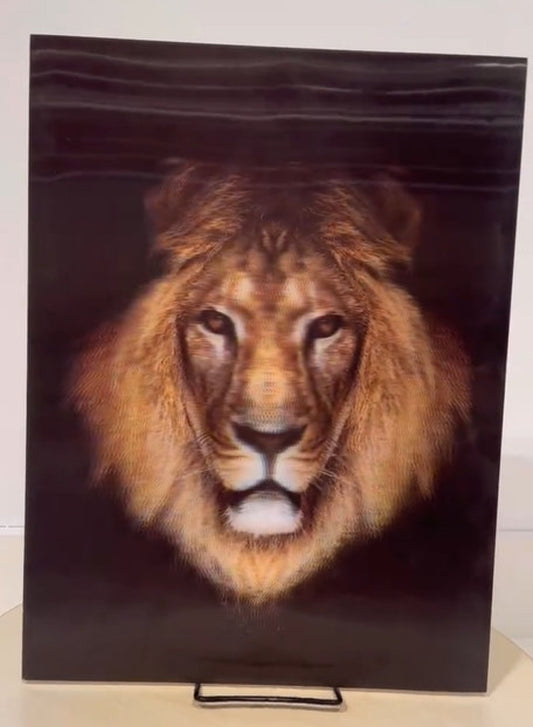 Naked 3D Poster - Lion