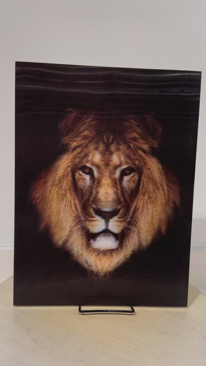 Naked 3D Poster - Lion