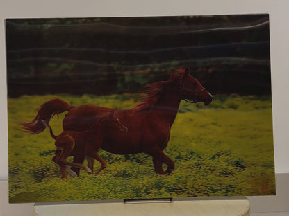 Naked 3D Poster - Galloping Horse