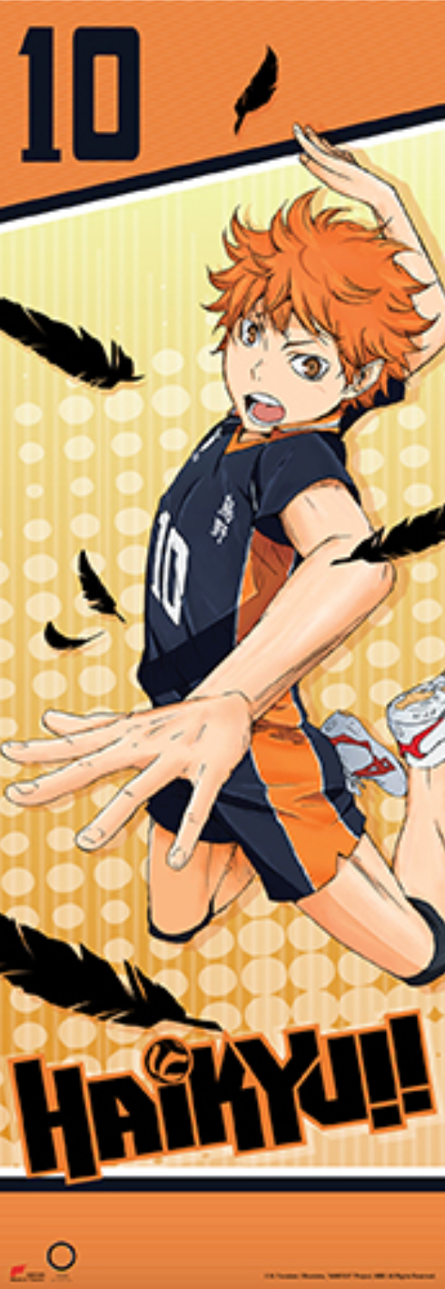 Wall Scroll - HaiKyu!!