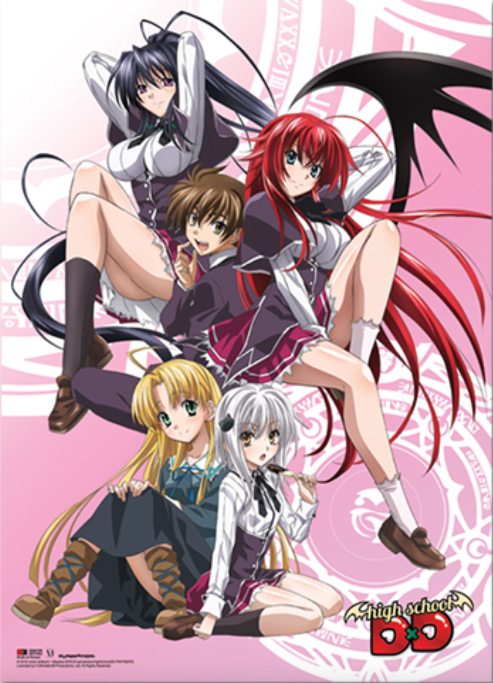 Wall Scroll - High School DxD