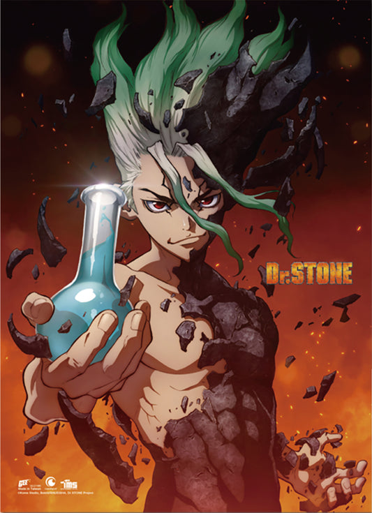 Wall Scroll - Dr. Stone